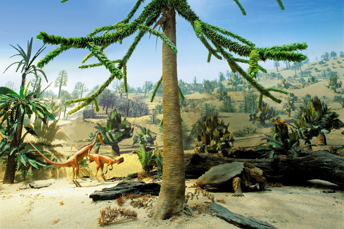 Diorama Landschaft des Mittleren Keupers