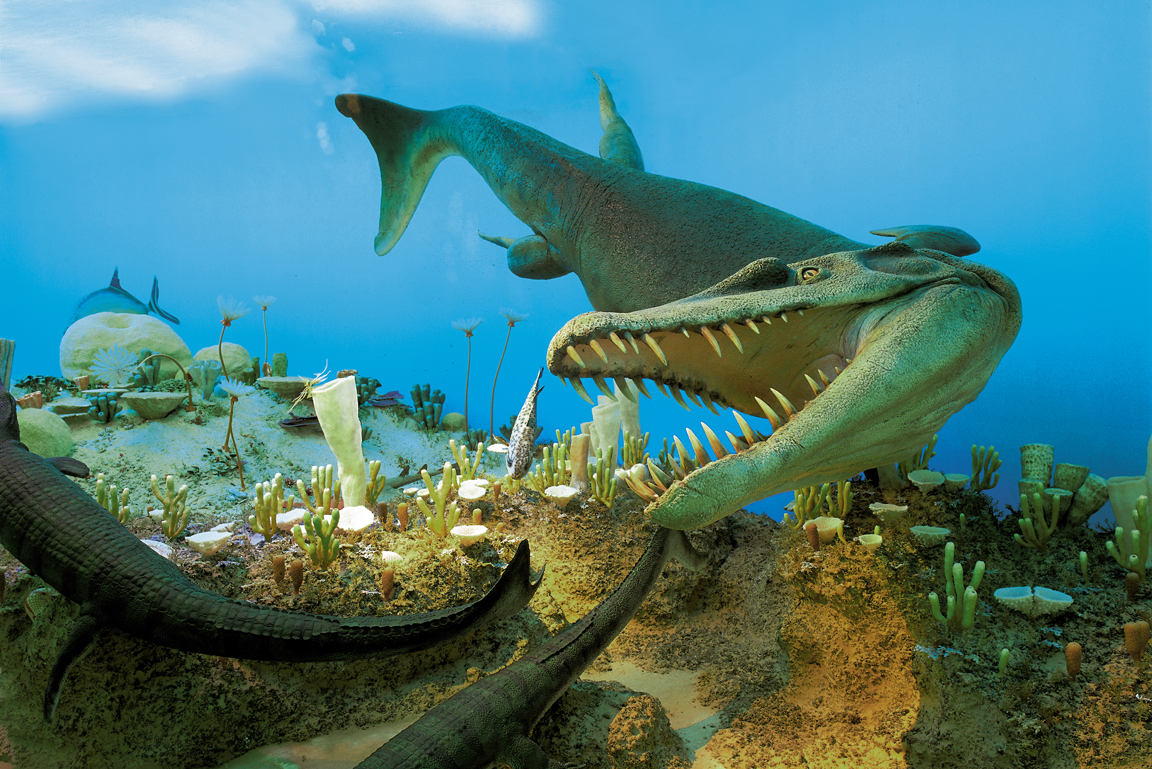 Diorama Landschaft des Weißen Jura