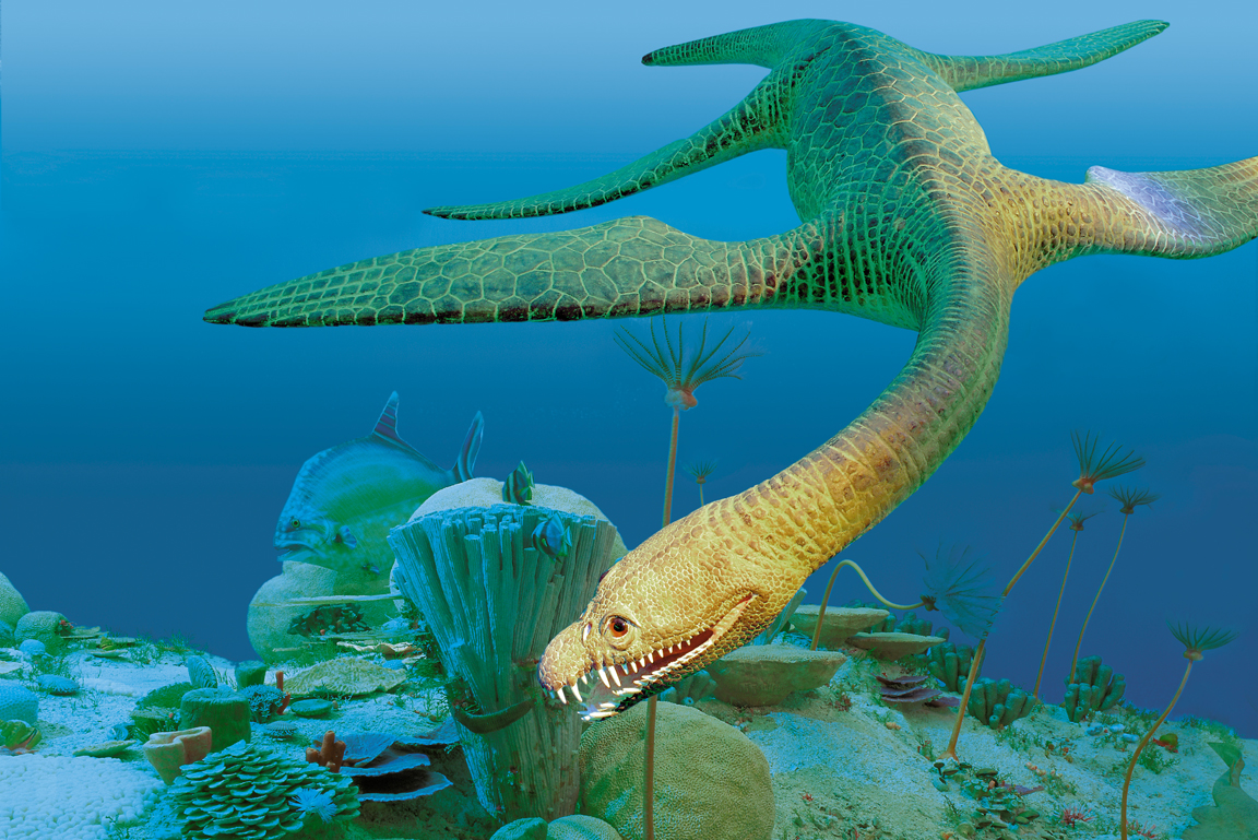 Rhomaleosaurus