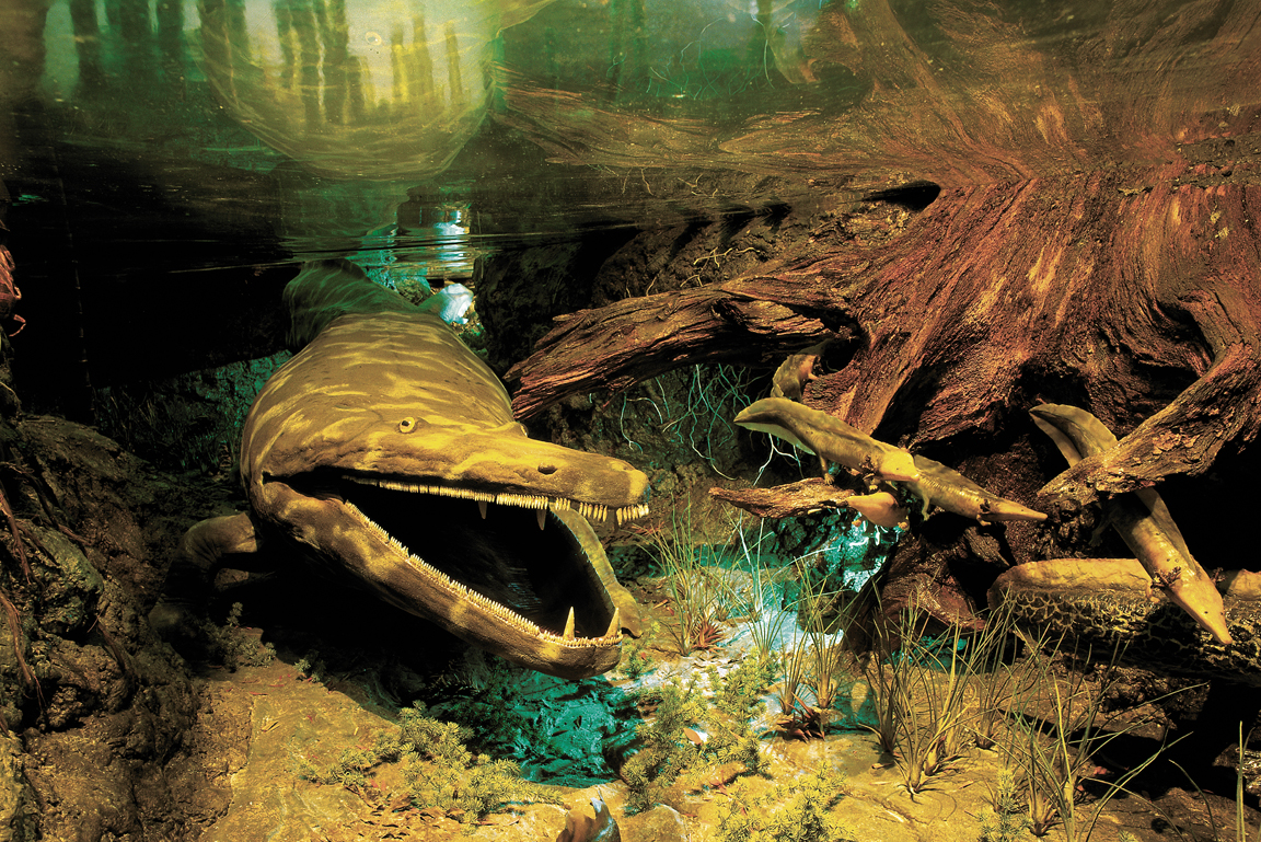 Diorama des Unteren Keupers mit Mastodonsaurus
