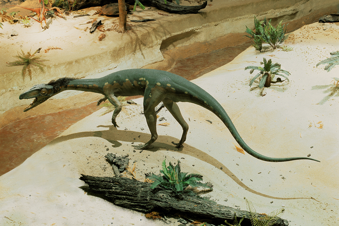 Diorama des Mittleren Keupers mit Liliensternus