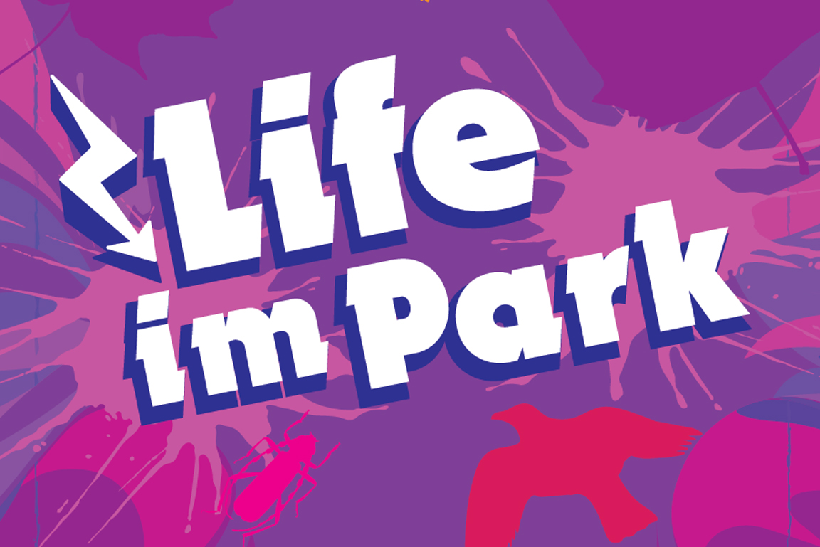 grafische Gestaltung mit Schriftzug Life im Park