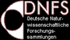 DNFS – Konsortium "Deutsche Naturwissenschaftliche Forschungssammlungen" Logo-1
