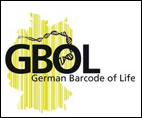 GBOL – German Barcode of Life Logo-5