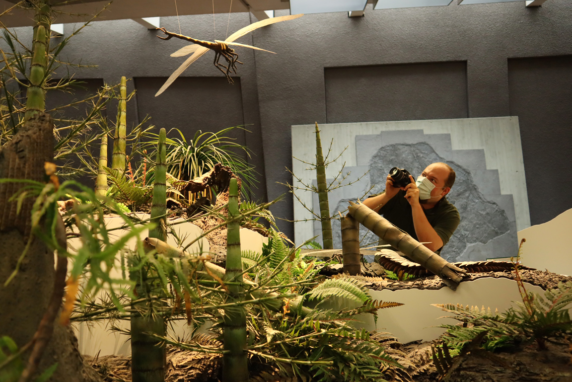 Mann fotografiert das Modell einer großen, urzeitlichen Libelle im Museum