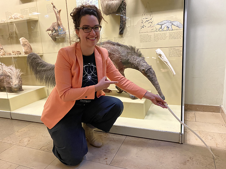 in Hocke sitzende Frau vor Ausstellungsvitrine mit Ameisenbär.