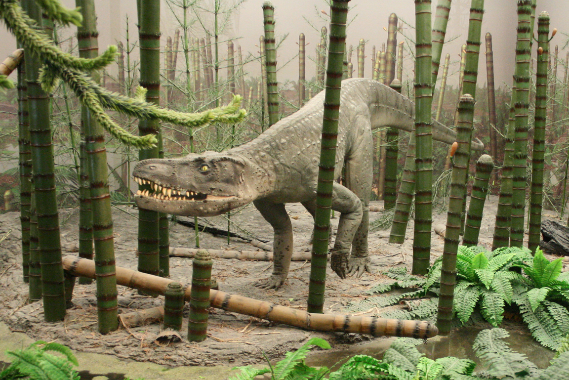 Diorama mit Modell eines Batrachotomus.