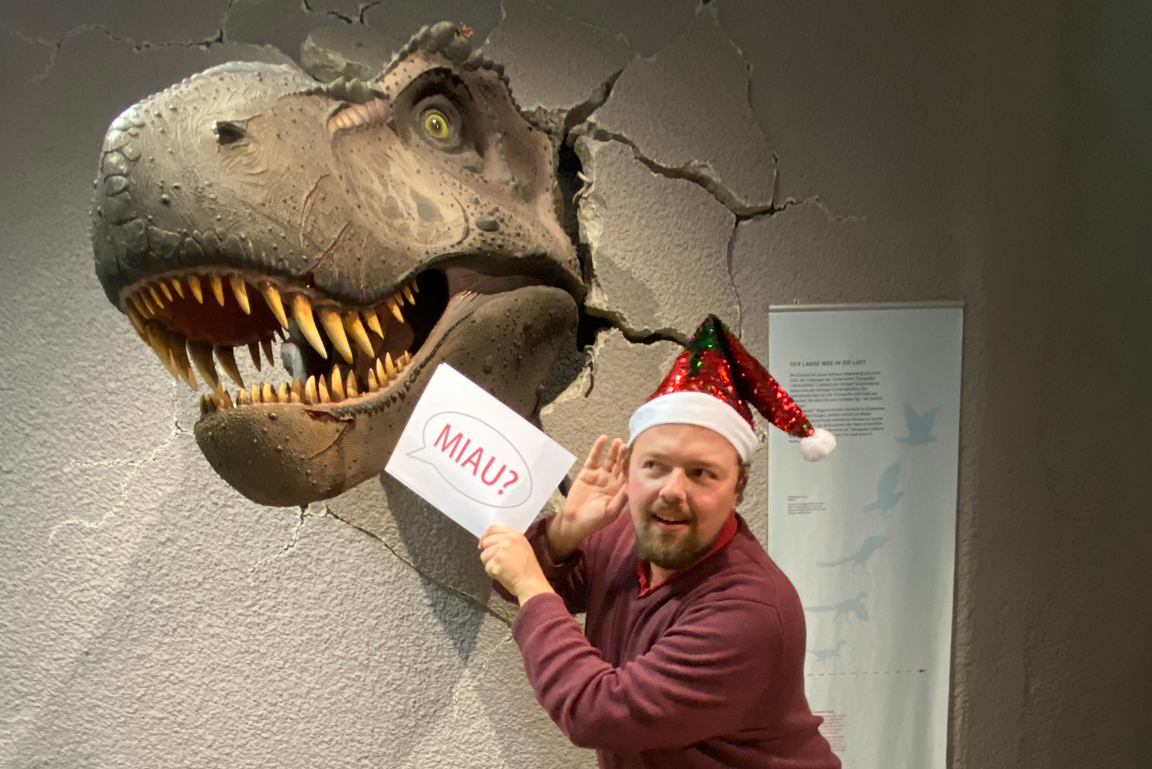 Modell eines Tyrannosaurus Rex Kopfes. Daneben Mann mit roter Weihnachtsmütze.