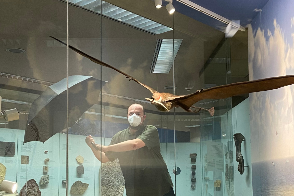 Ausstellungsvitrine mit Flugsaurier, dahinter Mensch mit Regenschirm.