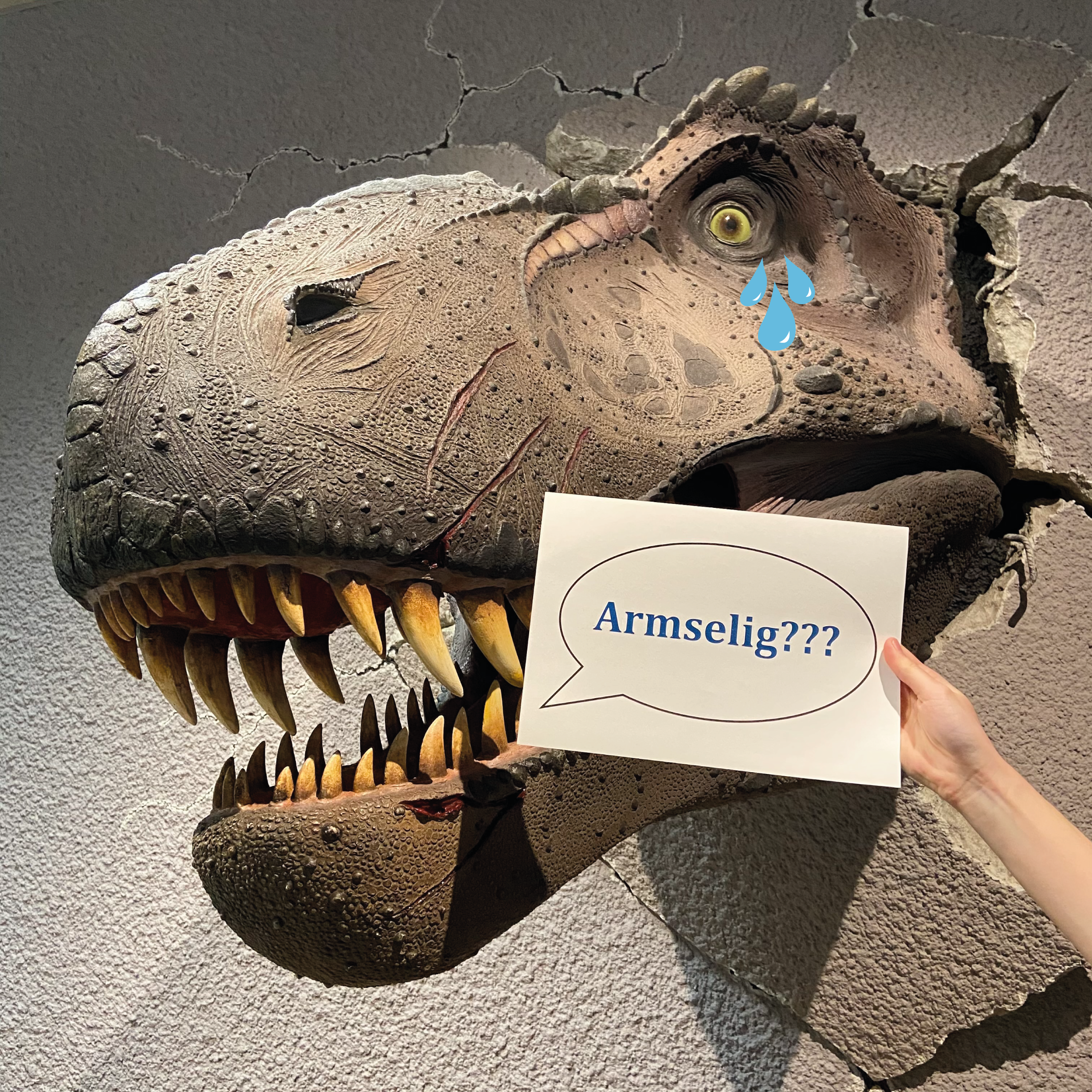 Modell des Kopfes eines Tyrannosaurus rex. Unter den Augen sind Tränen eingezeichnet und ein menschlicher Arm hält ein Blatt Papier vor das Modell. Auf dem Papier ist eine Sprechblase mit dem Text: "Armselig???".