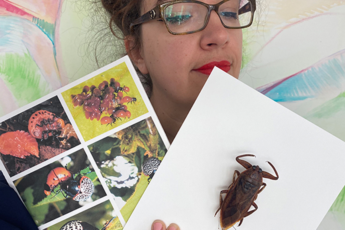 Museumspädagogin Susanne Lanckowsky hält zwei Blätter Papier mit Fotos verschiedener Insekten vor sich.