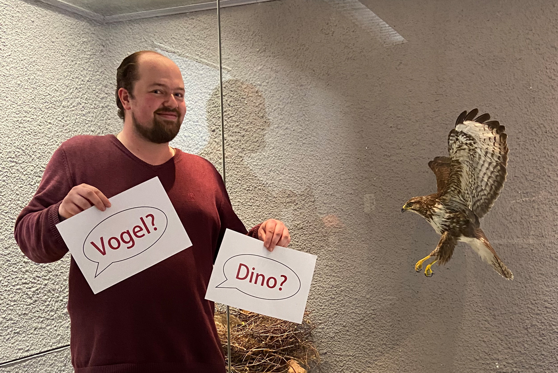 Mann in rotem Pullover steht links von einem präparierten Greifvogel und hält zwei Blätter Papier vor sich mit den Aufschriften "Vogel?" und "Dino?".