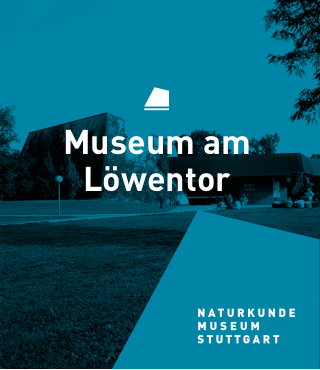 Ausstellungsgebäude Museum am Löwentor grafisch gestaltet mit eingebettetem Text Museum am Löwentor