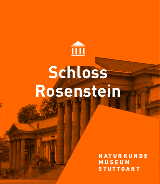 Ausstellungsgebäude Schloss Rosenstein grafisch gestaltet mit eingebettetem Text Schloss Rosenstein